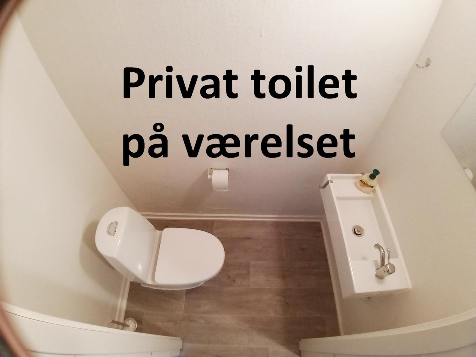 Budget Double Room,1597645501:JPEG