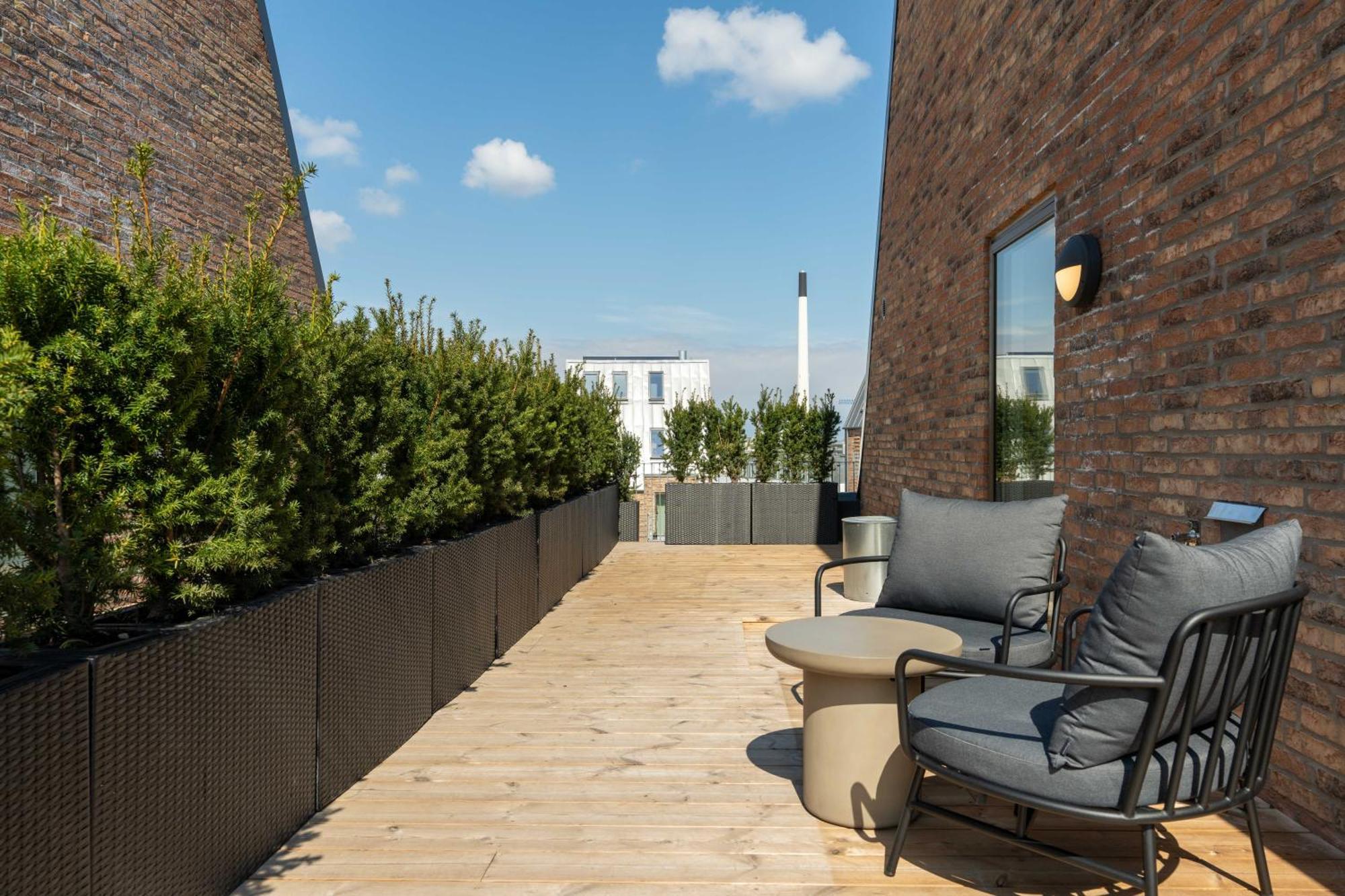 Large Studio Kitchen Terrace,1616998461:JPEG