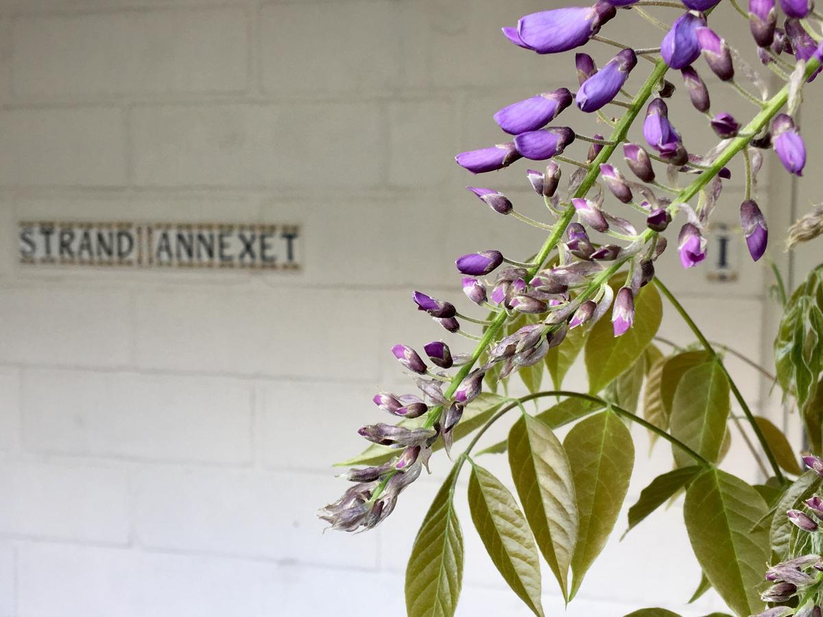 Double Room with Sea View,1132335534:JPEG