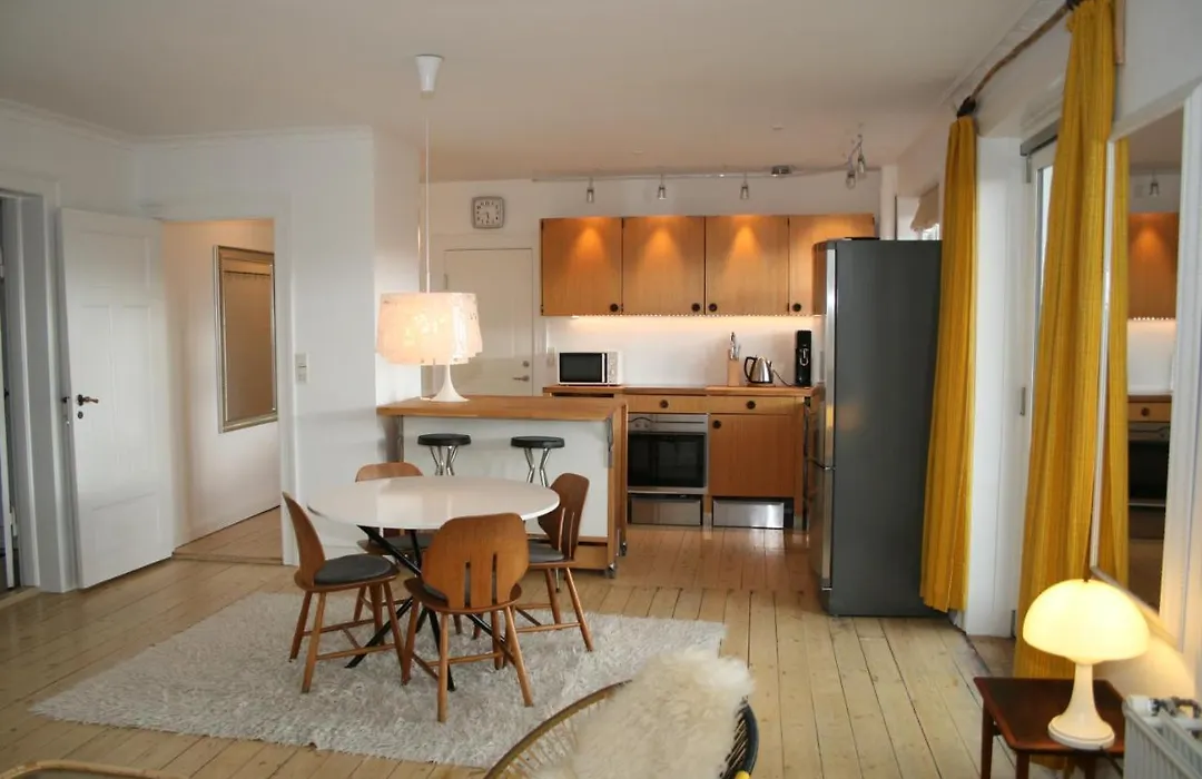Copenhagen Large Penthouse Apartment-1