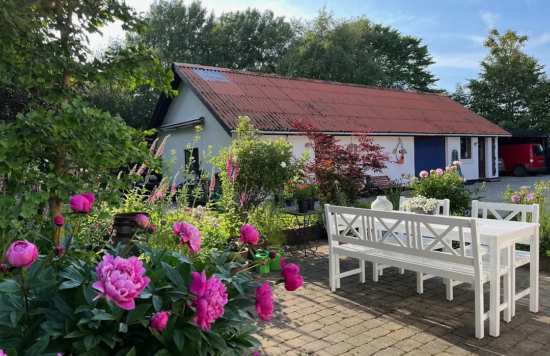 Fuglsang Bed&Breakfast-1
