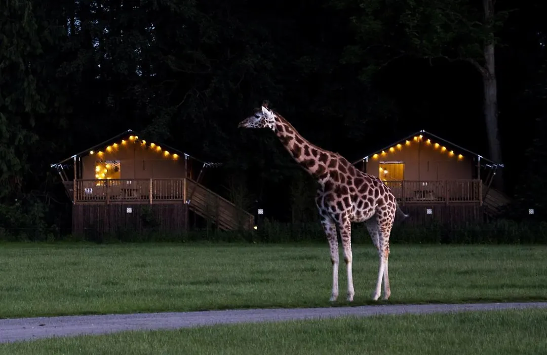 Knuthenborg Safaripark-1