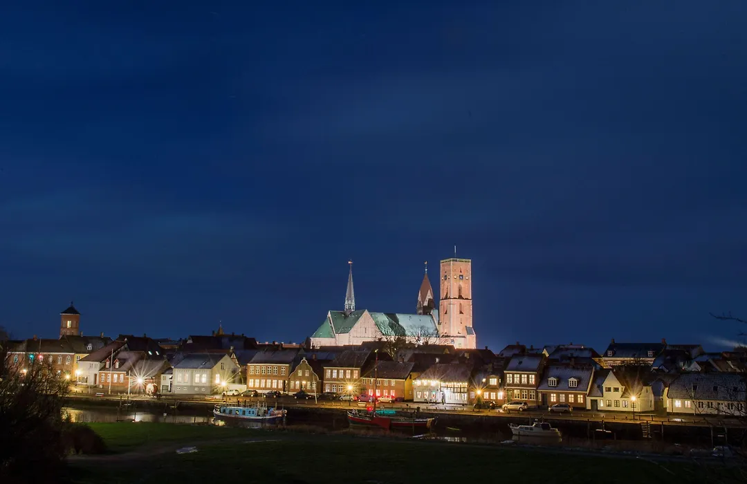 Danhostel Ribe-1