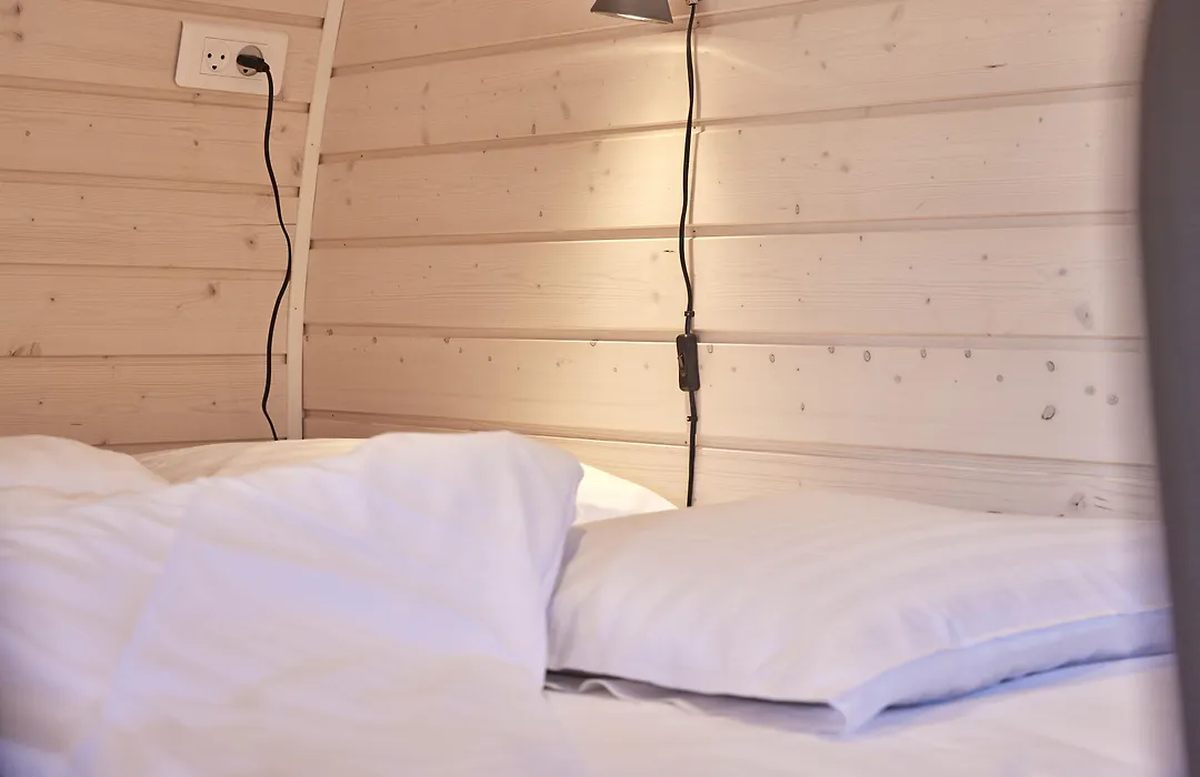 Danhostel Skjern-1
