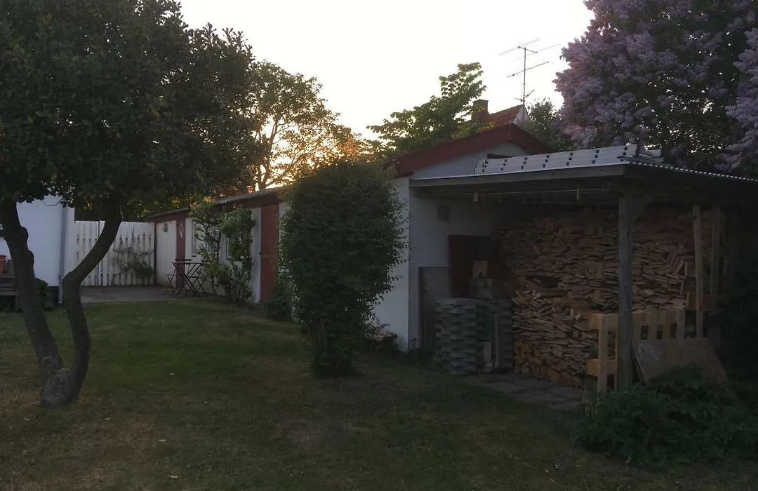 Cozy Guesthouse-1