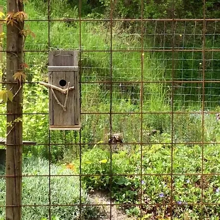 Bergliot Bed & Breakfast-2