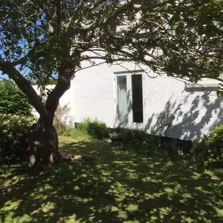 Bjergby Bed & Breakfast-3