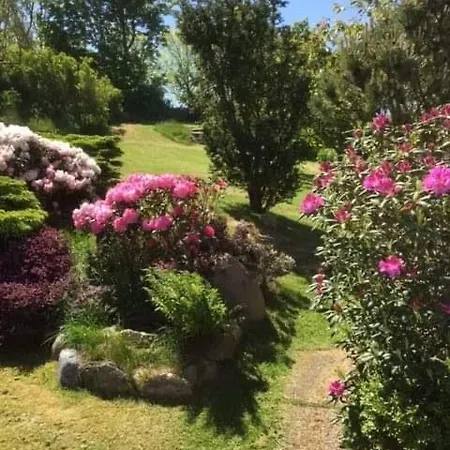 Bjergby Bed & Breakfast-2