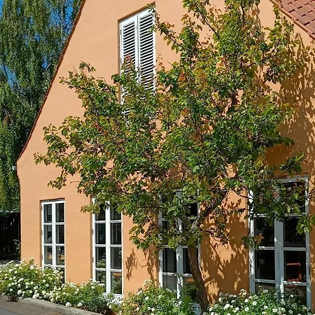 Aroma Guesthouse-3
