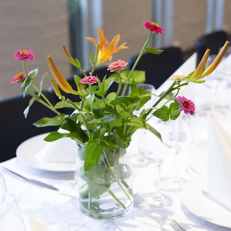 Dolphin Hotel Herning-3