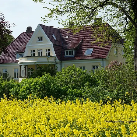 Tiendegaarden Møns Klint-2