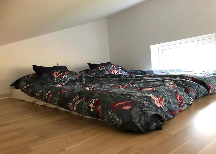 Fly B&B Skive