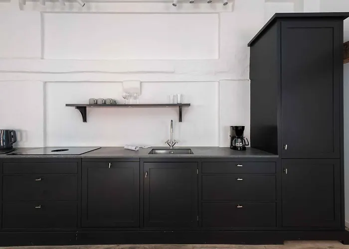 Pet friendly Charismatic Apartments In Copenhagen Old Town