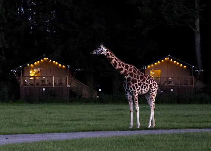 Knuthenborg Safaripark Hotel Maribo