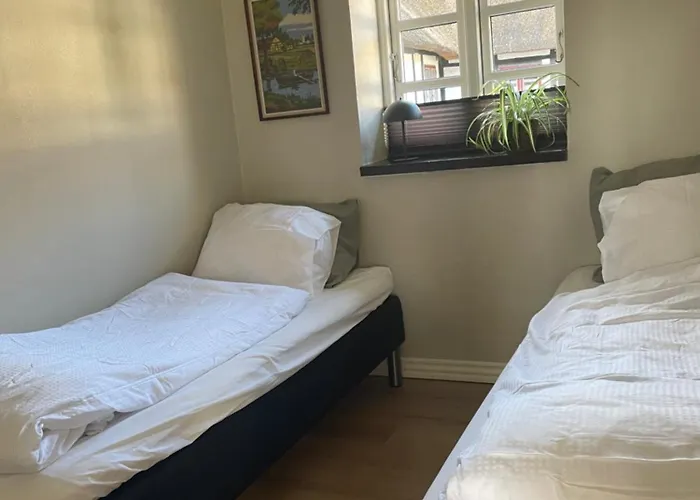 Baekgaarden 3 Rooms Apartment - Old Farm House Odense