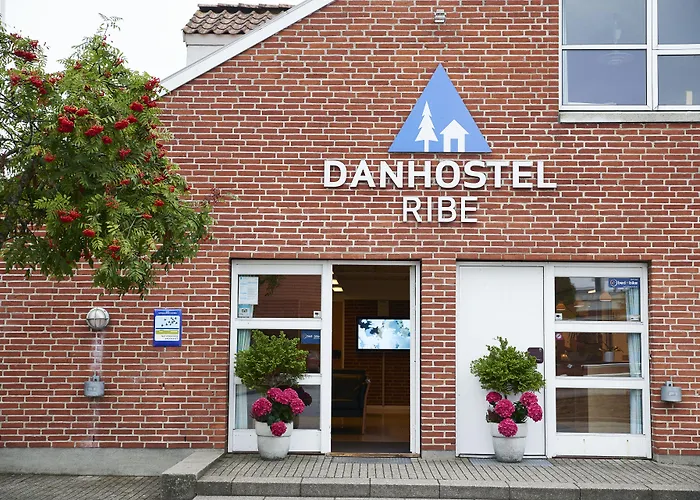 Haustierfreundliches Danhostel Ribe